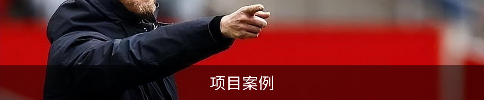 项目案例